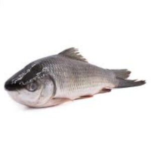 Rohu Fish 20kg
